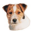 Jack Russell Terrier-Aufkleber