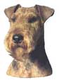 Welsh Terrier-Kopf