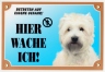 West Highland White Terrier Warnschild