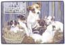 Jack Russell Terrierfamilie-Fußmatte