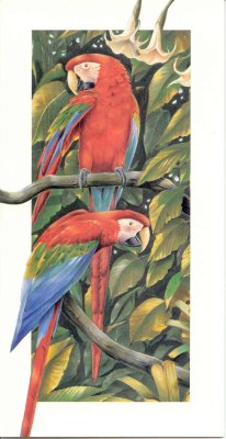 Papageien (rot) Grukarte - Vorderseite