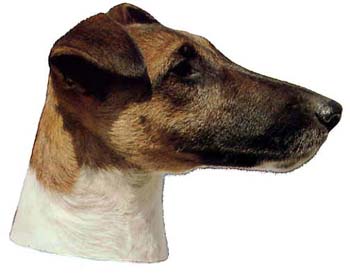 Gro�e Aufkleber-Packung (2 Aufkleber) mit Foxterrier (Glatthaar)-Motiv