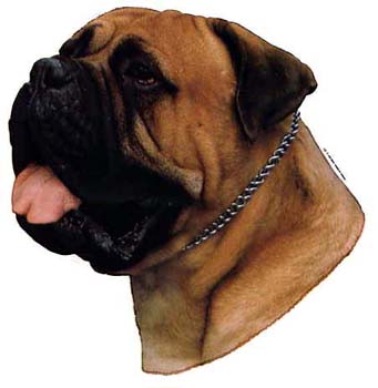 Gro�e Aufkleber-Packung (2 Aufkleber) mit Bullmastiff-Motiv