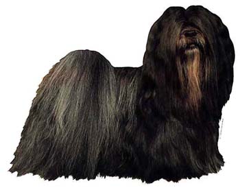 Gro�e Aufkleber-Packung (2 Aufkleber) mit Lhasa Apso (dunkel)-Motiv
