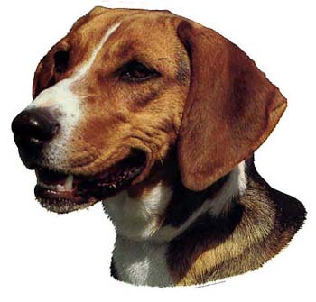 Gro�e Aufkleber-Packung (2 Aufkleber) mit Hamiltonstoevare-Motiv