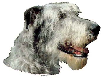 Gro�e Aufkleber-Packung (2 Aufkleber) mit Irish Wolfhound (hell)-Motiv