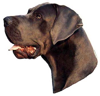 Gro�e Aufkleber-Packung (2 Aufkleber) mit Deutsche Dogge (blau, unkupiert)-Motiv