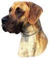 Deutsche Dogge Aufkleber