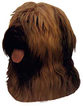 Gro�e Aufkleber-Packung (2 Aufkleber) mit Briard (blond)-Motiv