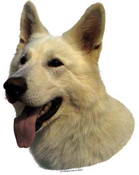 Gro�e Aufkleber-Packung (2 Aufkleber) mit wei�em Sch�ferhund-Motiv