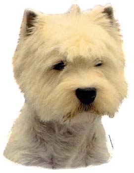 Gro�e Aufkleber-Packung (2 Aufkleber) mit West Highland White Terrier (Kopf, frontal)-Motiv