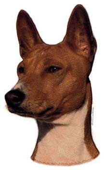 Gro�e Aufkleber-Packung (2 Aufkleber) mit Basenji-Motiv