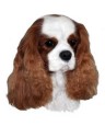 Cavalier King Charles Spaniel Aufklber