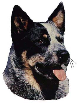 Gro�e Aufkleber-Packung (2 Aufkleber) mit Australian Cattledog-Motiv