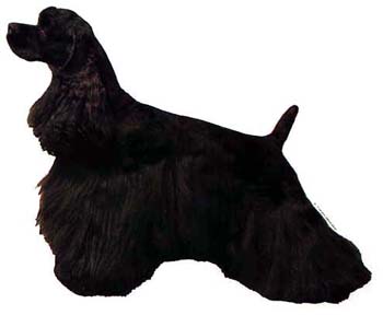Gro�e Aufkleber-Packung (2 Aufkleber) mit American Cocker Spaniel (schwarz)-Motiv
