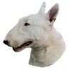 Bullterrier Aufkleber