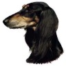 Saluki Aufkleber