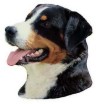 Appenzeller Sennenhund Aufkleber