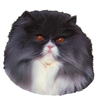 Gro�e Aufkleber-Packung (2 Aufkleber) mit Perser (blau-wei�)-Motiv