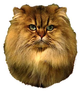 Gro�e Aufkleber-Packung (2 Aufkleber) mit Perser (creme)-Motiv