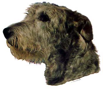 Gro�e Aufkleber-Packung (2 Aufkleber) mit Irish Wolfhound (dunkel)-Motiv