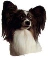 Papillon Aufkleber