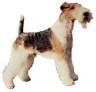 Foxterrier Aufkleber