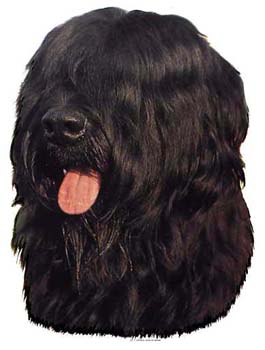 Gro�e Aufkleber-Packung (2 Aufkleber) mit Briard (schwarz)-Motiv