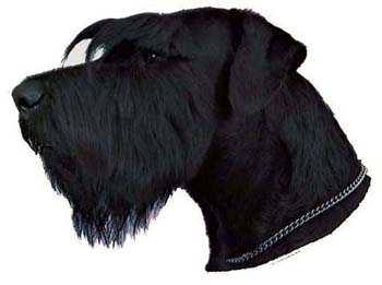 Gro�e Aufkleber-Packung (2 Aufkleber) mit Riesenschnauzer (schwarz, unkupiert)-Motiv