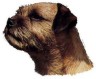 Border Terrier Aufkleber