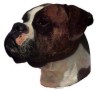 Boxer Aufkleber