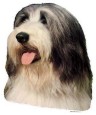 Bearded Collie Aufkleber