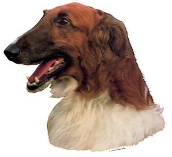 Gro�e Aufkleber-Packung (2 Aufkleber) mit Barsoi-Motiv