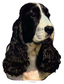 Gro�e Aufkleber-Packung (2 Aufkleber) mit Cocker Spaniel (schwarz-wei�)-Motiv