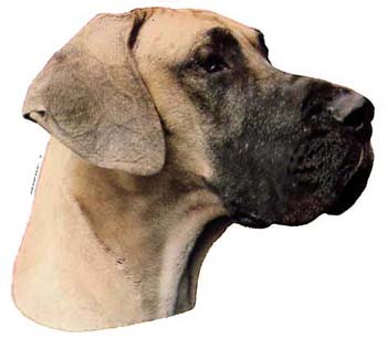 Gro�e Aufkleber-Packung (2 Aufkleber) mit Deutsche Dogge (gelb, unkupiert)-Motiv