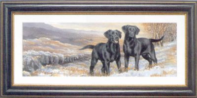 Labrador Druck im edlen Holzrahmen